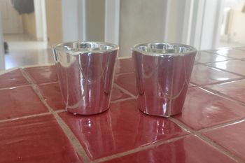 Deux petits pots de fleurs