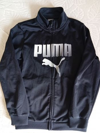 Veste Puma
