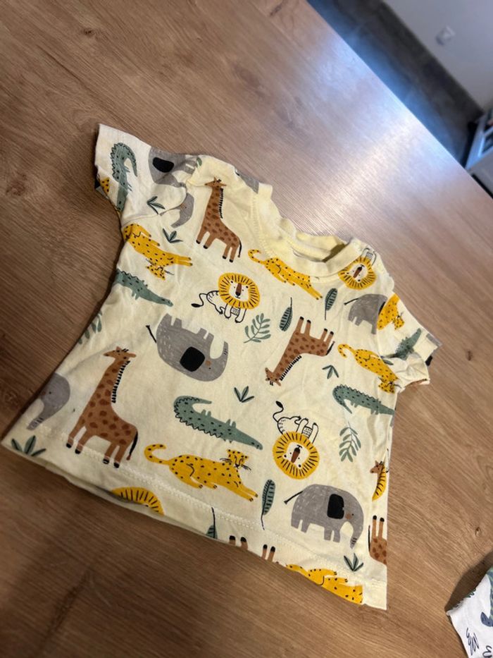 Lot de 2 TShirt - photo numéro 2
