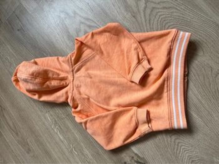 Ensemble gilet à capuche et pantalon - photo numéro 8