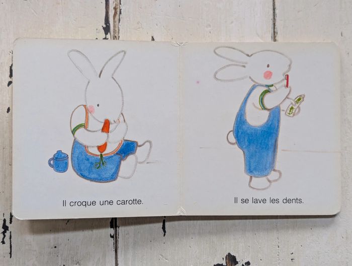 Une bonne journée ! - photo numéro 5