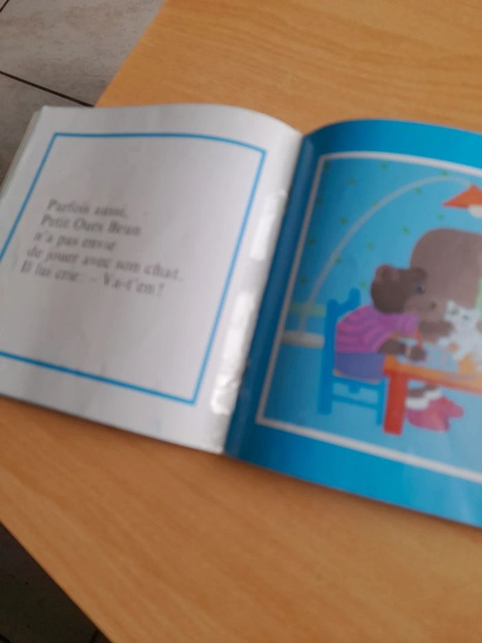 Petit ours brun - photo numéro 13