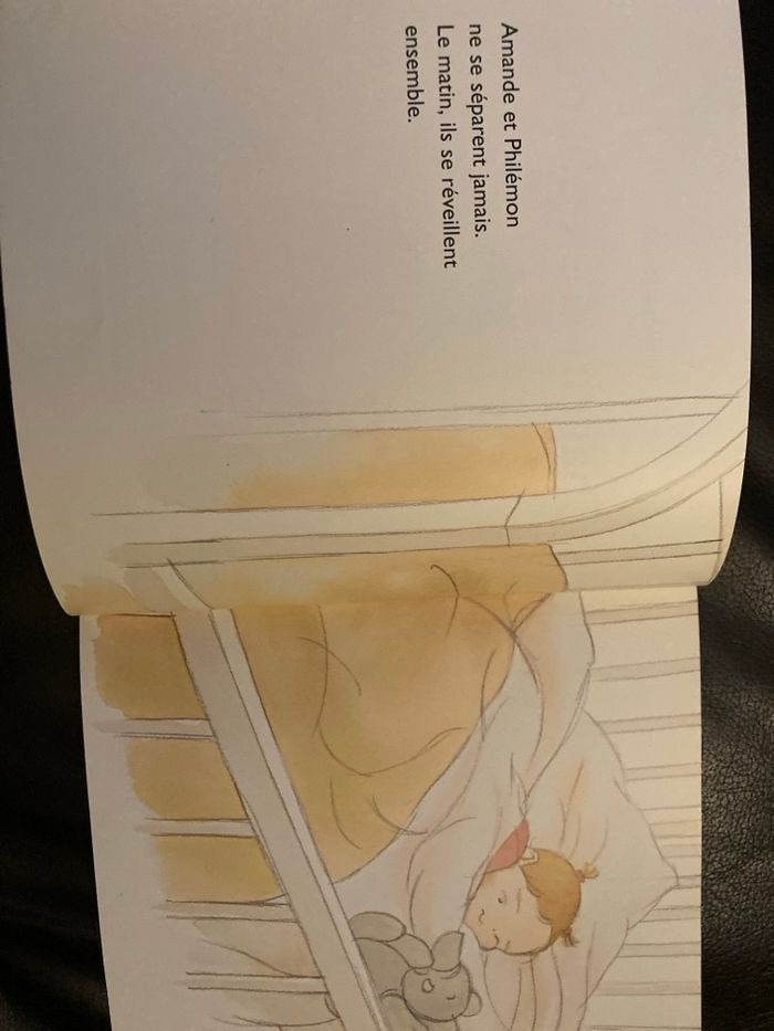 Livre « chagrin d’éléphant « - photo numéro 3