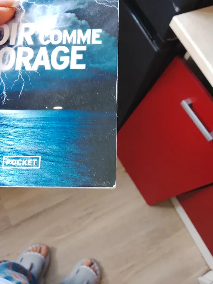 Livre de Sonja delzongle - photo numéro 6