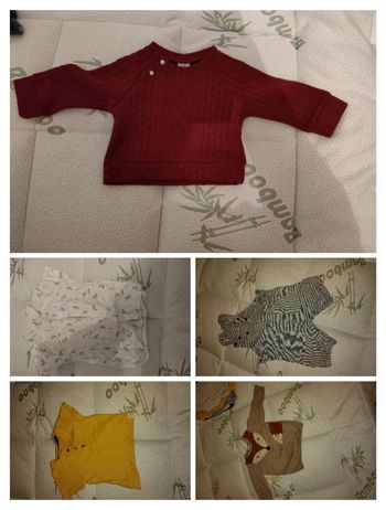 Lot ou à l'unité 9 mois garçon