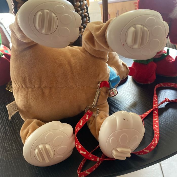 Chien avec sa laisse à promener les toutous - photo numéro 3