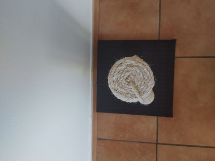 Poteau Griffoir pour chat en très bon état - photo numéro 3