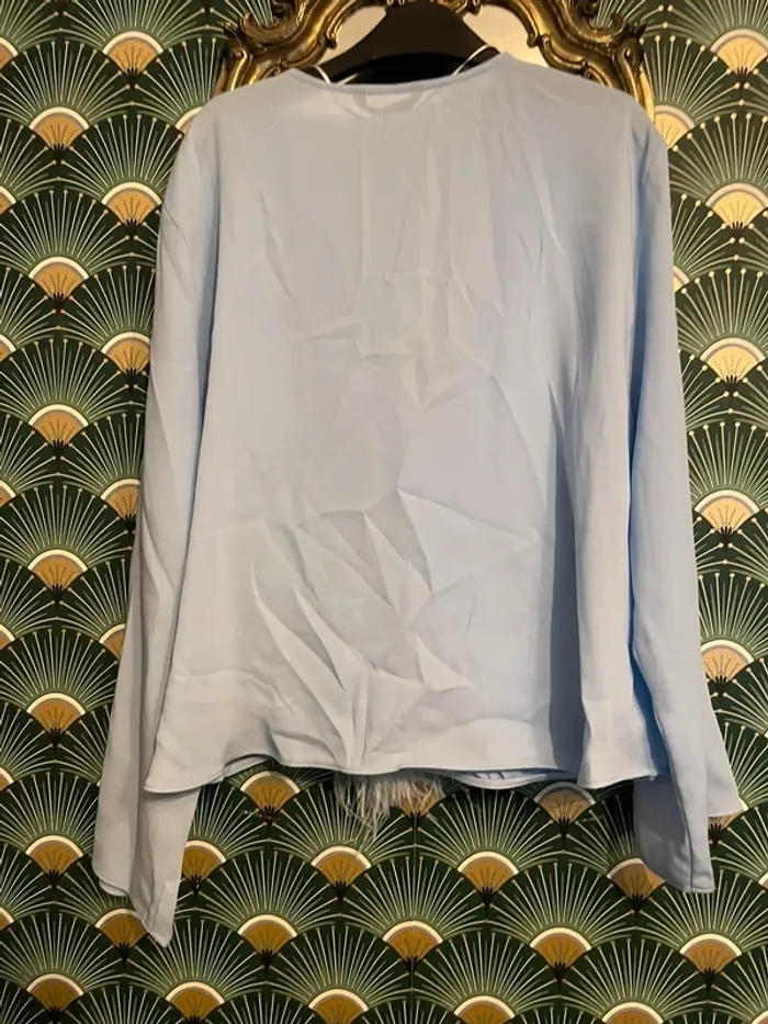 Belle blouse à plumes Zara à XL - photo numéro 5