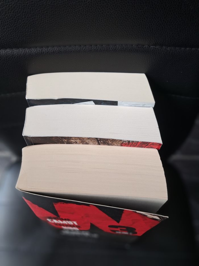 Trilogie W3 - photo numéro 4