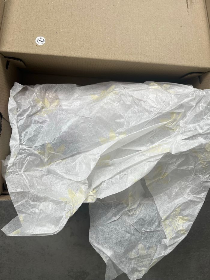 Samba rose - photo numéro 5