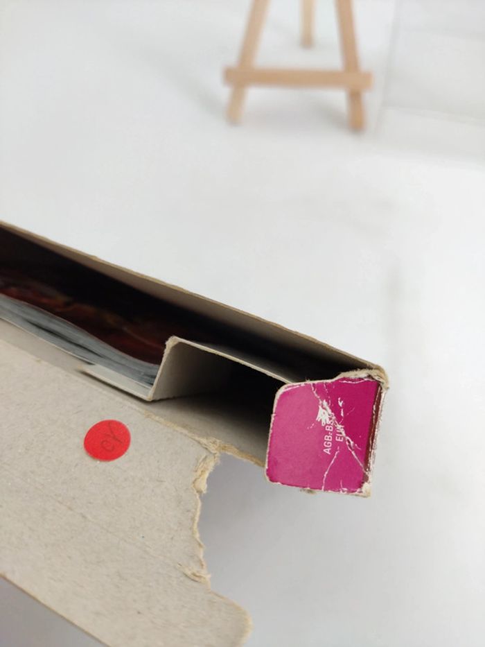 Jeu Game Boy Advance Spyro Fusion sans jeu - photo numéro 5