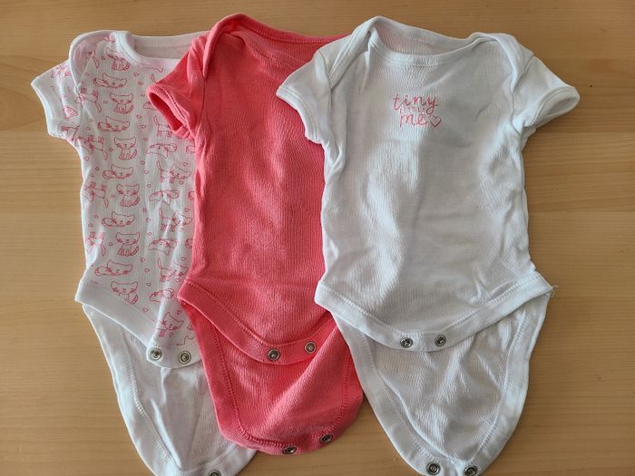 Lot bodies - photo numéro 2