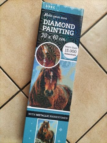 🎨Diamond Painting - Cheval sauvage 🎨