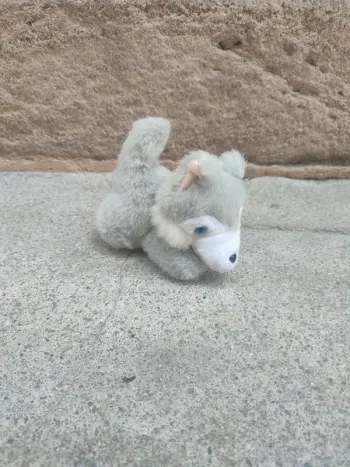 Petit peluche sans marque