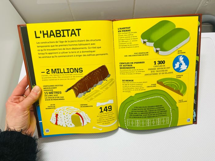 L’âge de Pierre - photo numéro 7