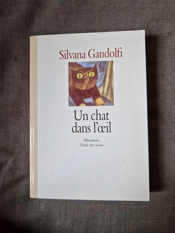 Livre un chat dans l'œil l'école des loisirs