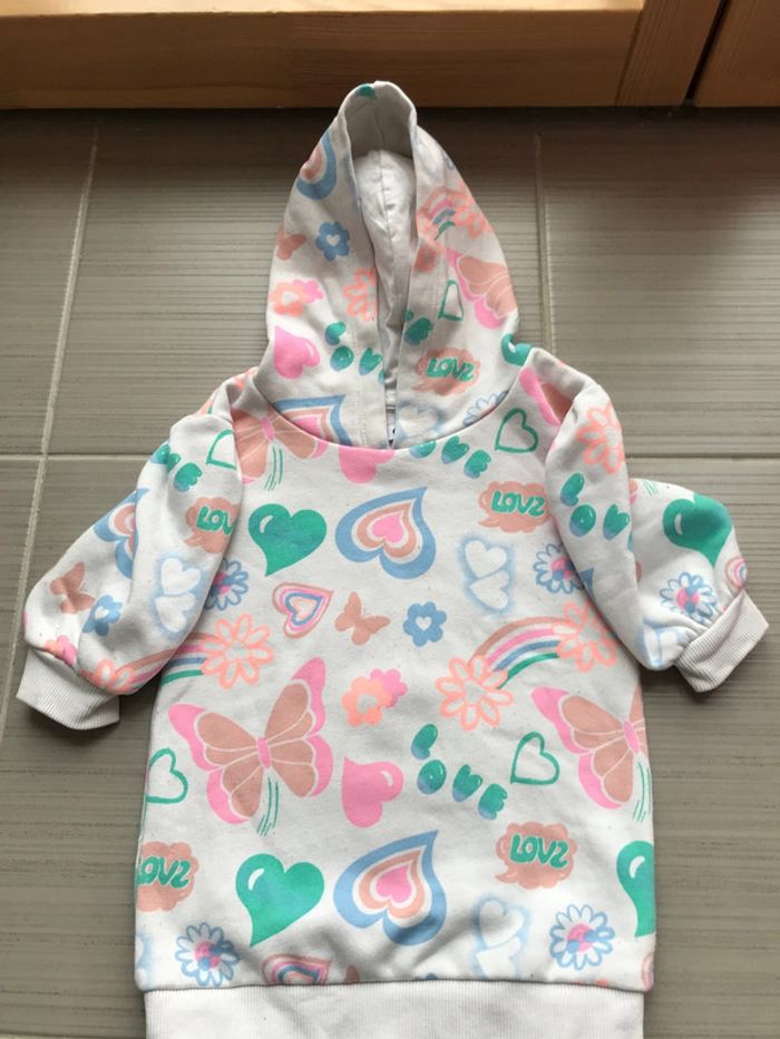 Pull sweat à capuche gemo