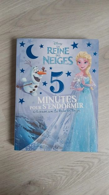 Livre la reine des neiges
