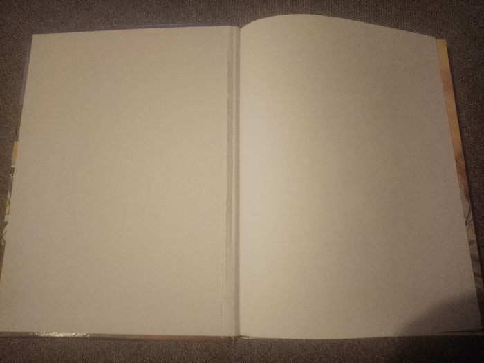 Walt Disney Dingo et Max - photo numéro 3