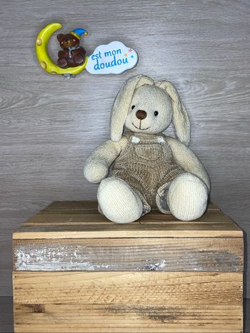 ACP59 doudou lapin 🐰 Anna club plush