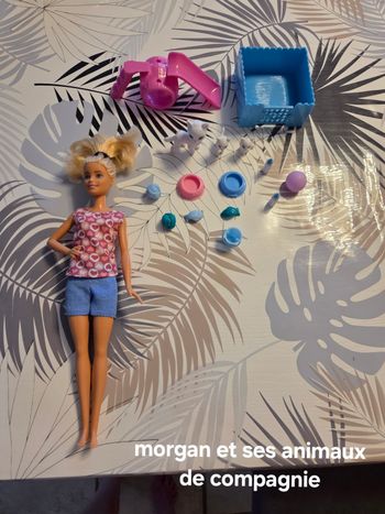 Poupee morgan et ses animaux de compagnie