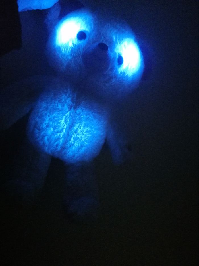 peluche ours lumineux - photo numéro 9