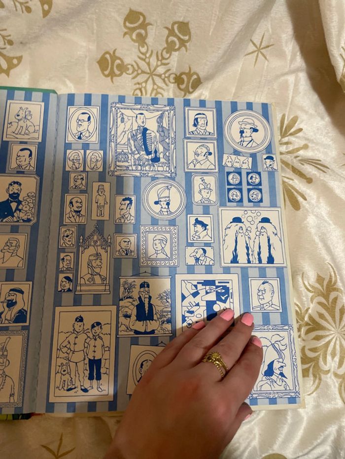 BD les aventures de Tintin Le trésor de Rackham le Rouge - photo numéro 6