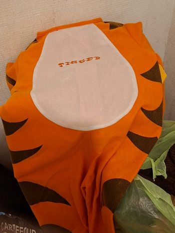 Déguisement tigrou 