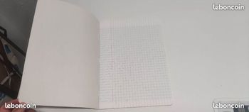 Cahier 21 *29.7 grands carreaux