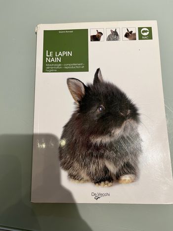 Livre lapin nain