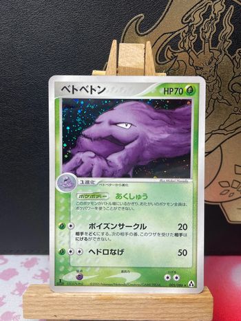 Grotardmorv Holo bloc Ex mirage Forest
