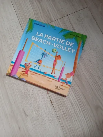 La partie de beach volley