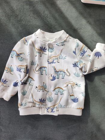Veste dinosaures