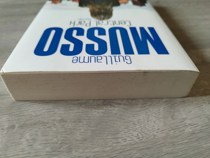 Roman Guillaume Musso - photo numéro 3