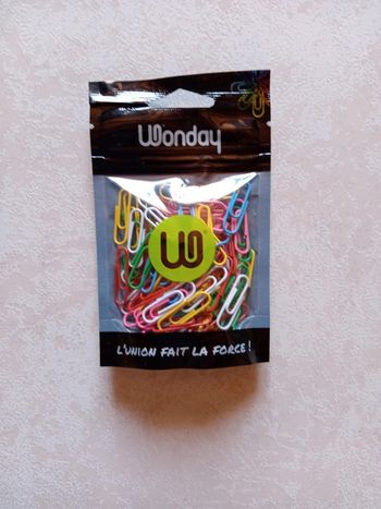 Pochette de 100 trombones Wonday