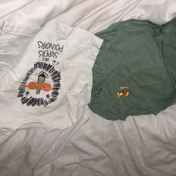 lot 2 vêtements