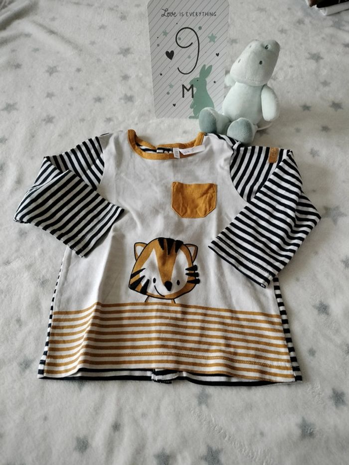 Ensemble tigre - photo numéro 5