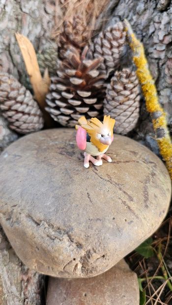 Super figurine Pokemon Nintendo tomy C.G.T.S.J Piafabec