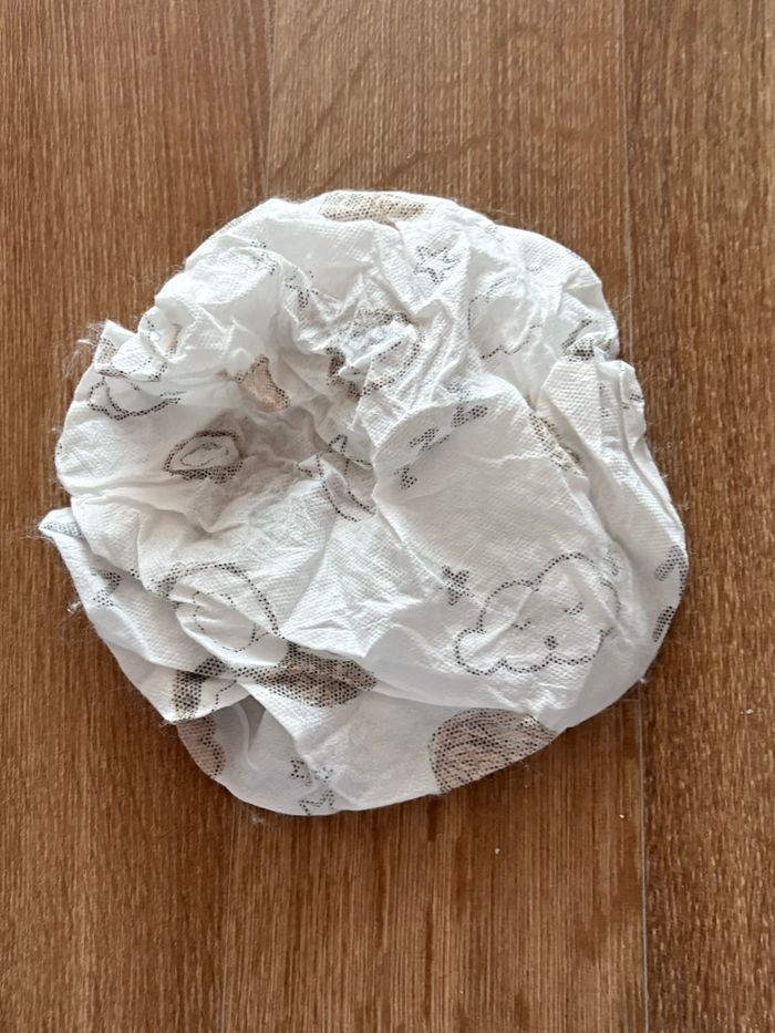 charlotte - photo numéro 2