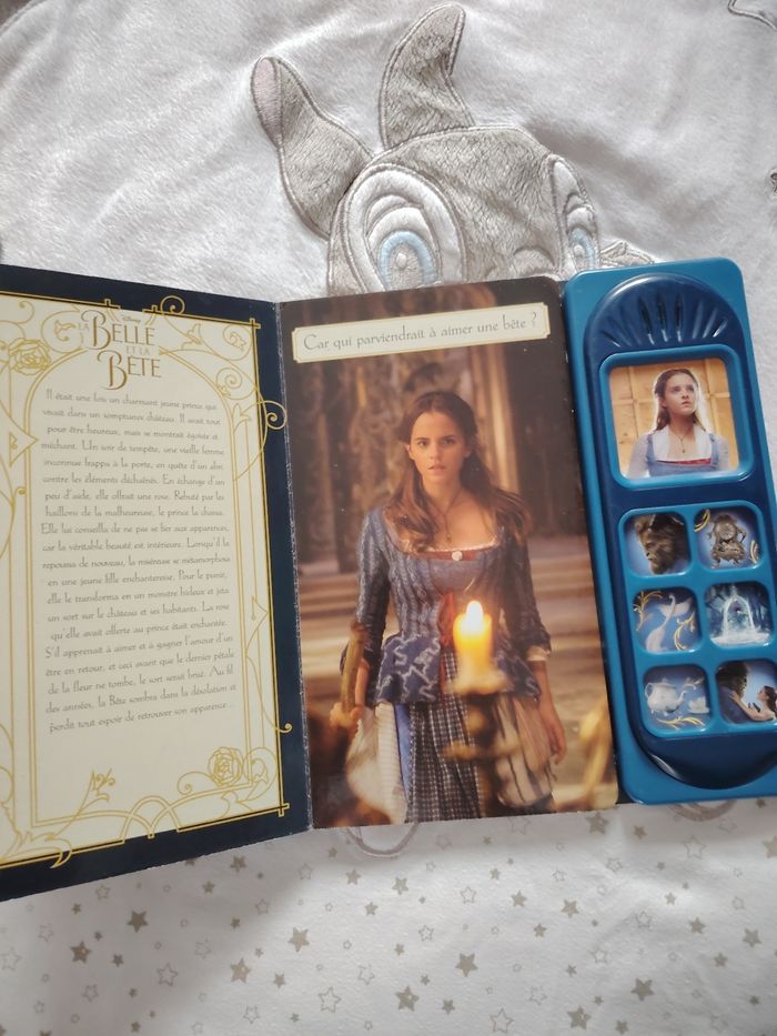 Livre la belle et la bête - photo numéro 2