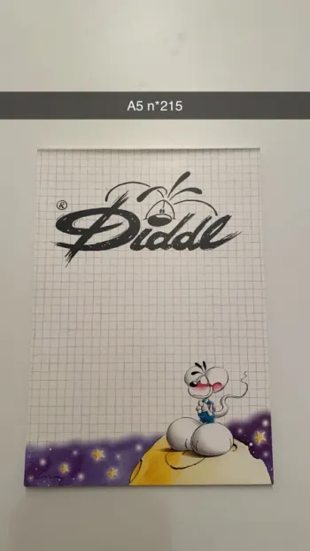 Lot diddl personnalisé Mélanie A