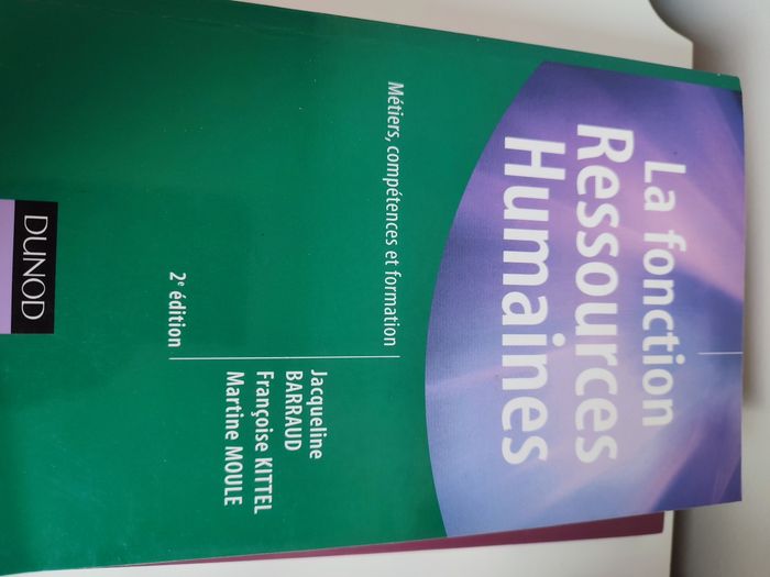 Lot livres ressources humaines - photo numéro 6