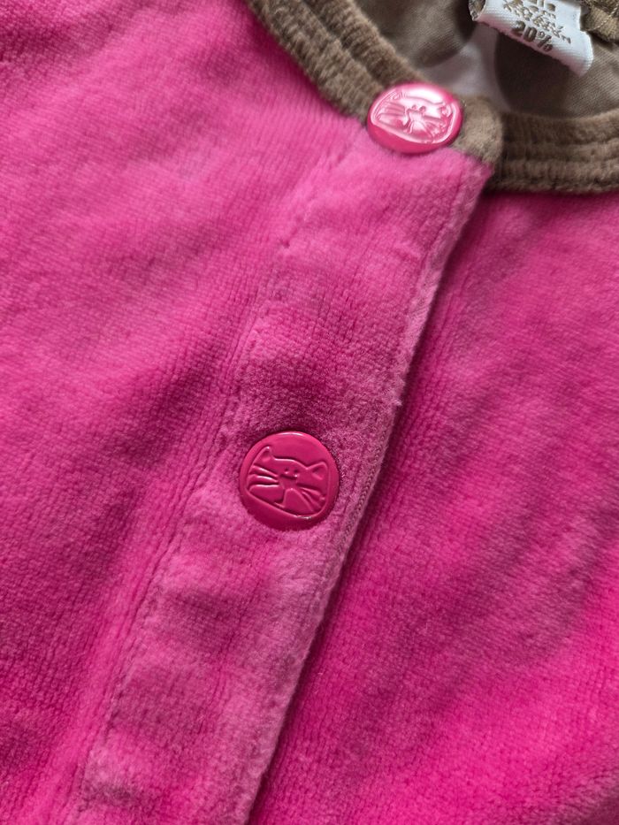 Gilet chat - photo numéro 3