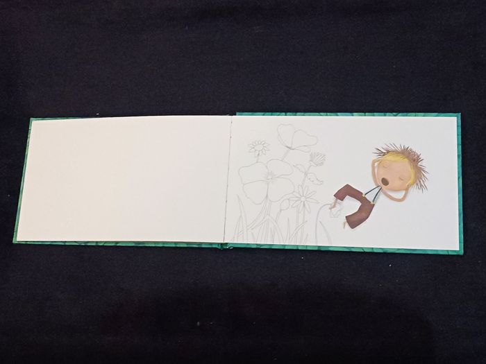 Livre Mollasson Scarabéa - photo numéro 7