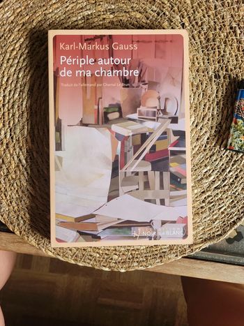 Périple autour de ma chambre.