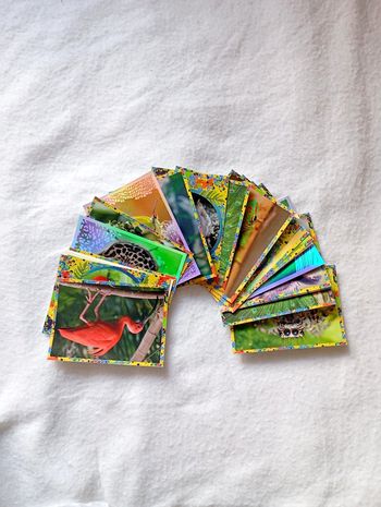 Lot de 22 stickers Panini Album Mille et une couleurs