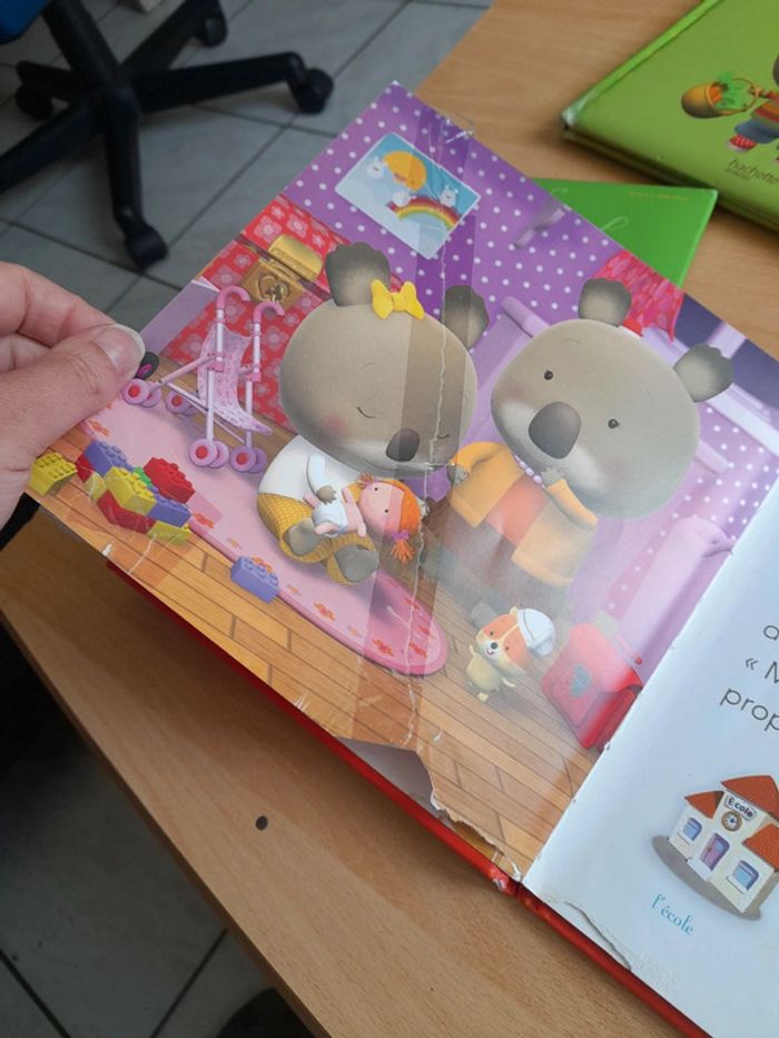Bébé Koala - photo numéro 4