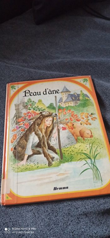 Livre peau d âne