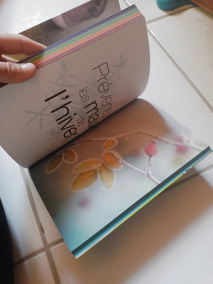 Livre se soigner toute l'année au naturel - photo numéro 10