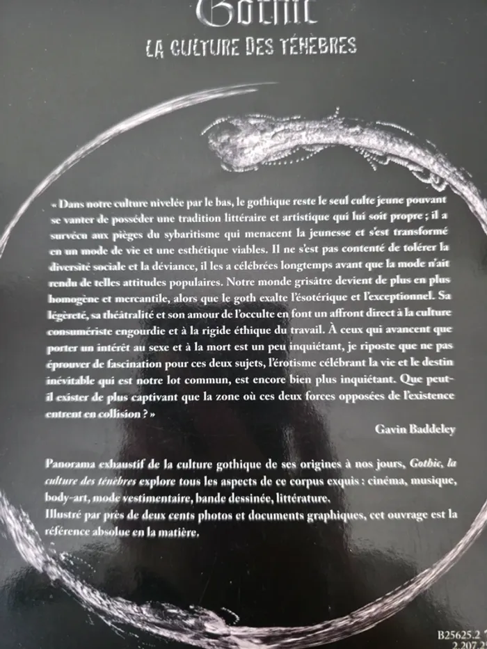 La culture des ténébres gothic - photo numéro 3